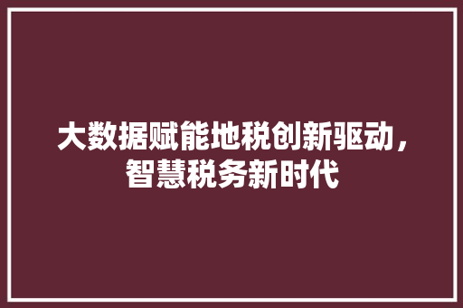 大数据赋能地税创新驱动，智慧税务新时代