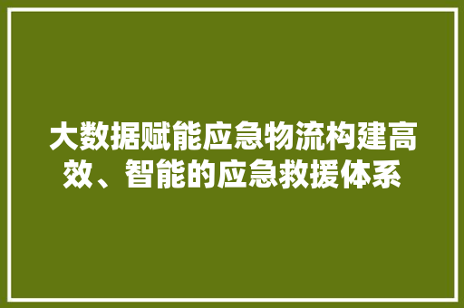 大数据赋能应急物流构建高效、智能的应急救援体系