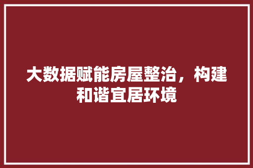 大数据赋能房屋整治，构建和谐宜居环境