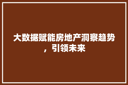 大数据赋能房地产洞察趋势，引领未来