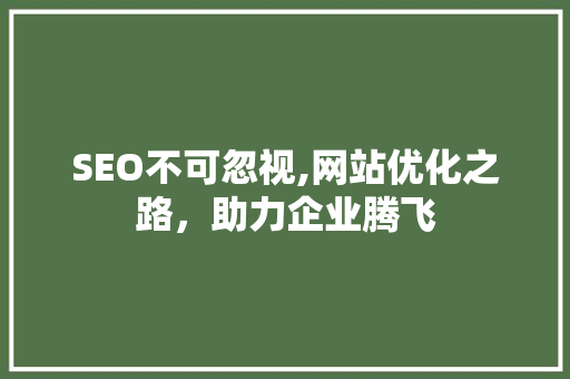 SEO不可忽视,网站优化之路，助力企业腾飞 网站建设