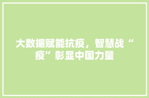 大数据赋能抗疫，智慧战“疫”彰显中国力量