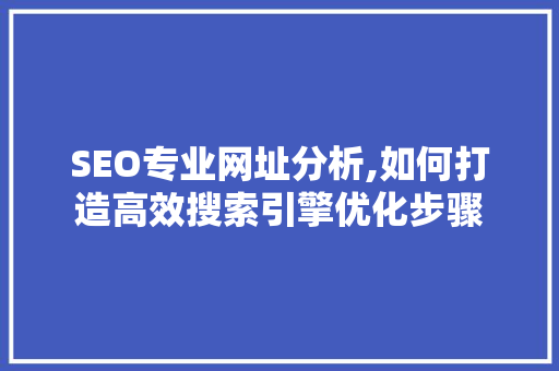 SEO专业网址分析,如何打造高效搜索引擎优化步骤