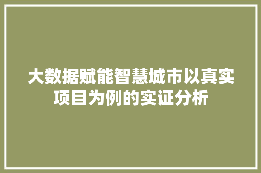 大数据赋能智慧城市以真实项目为例的实证分析