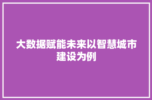 大数据赋能未来以智慧城市建设为例