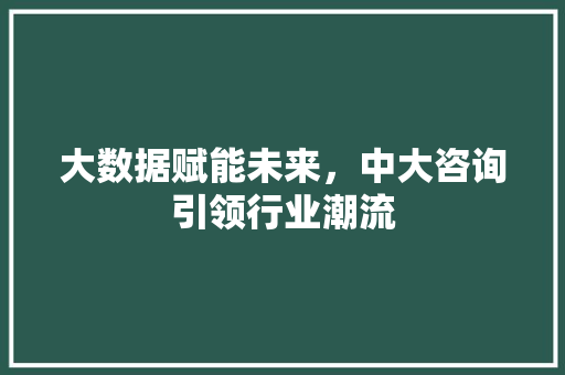大数据赋能未来，中大咨询引领行业潮流