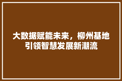 大数据赋能未来，柳州基地引领智慧发展新潮流