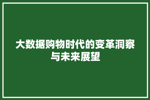 大数据购物时代的变革洞察与未来展望