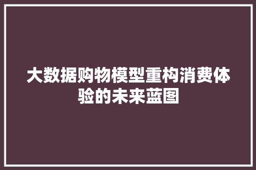 大数据购物模型重构消费体验的未来蓝图