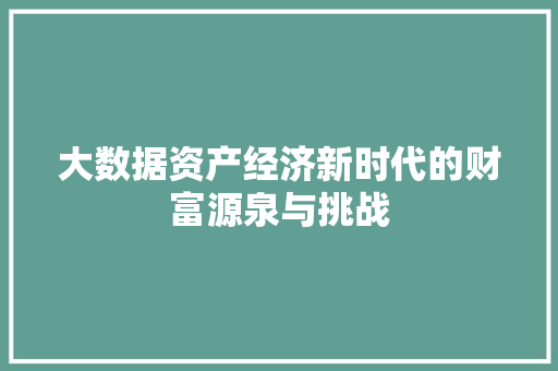 大数据资产经济新时代的财富源泉与挑战