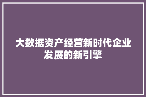 大数据资产经营新时代企业发展的新引擎