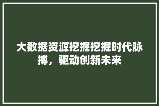 大数据资源挖掘挖掘时代脉搏，驱动创新未来