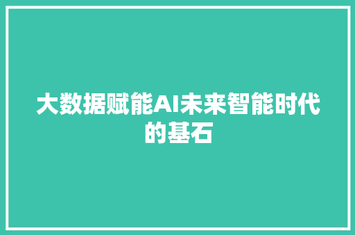 大数据赋能AI未来智能时代的基石