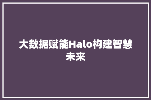 大数据赋能Halo构建智慧未来