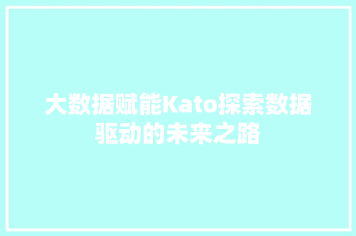 大数据赋能Kato探索数据驱动的未来之路