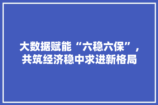 大数据赋能“六稳六保”，共筑经济稳中求进新格局