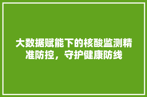 大数据赋能下的核酸监测精准防控，守护健康防线