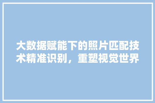 大数据赋能下的照片匹配技术精准识别，重塑视觉世界