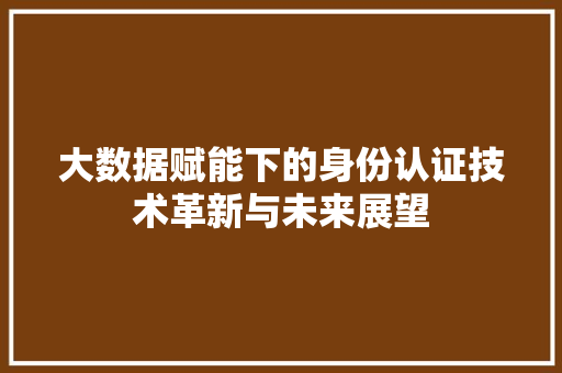 大数据赋能下的身份认证技术革新与未来展望
