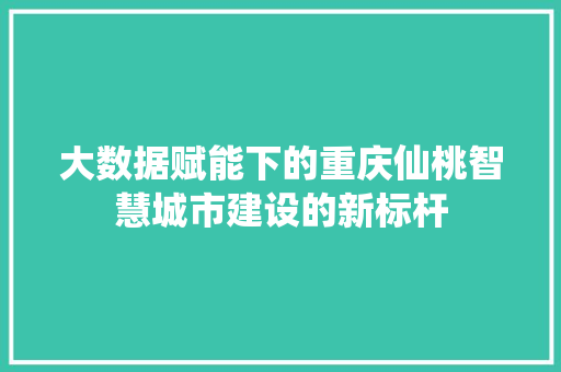 大数据赋能下的重庆仙桃智慧城市建设的新标杆