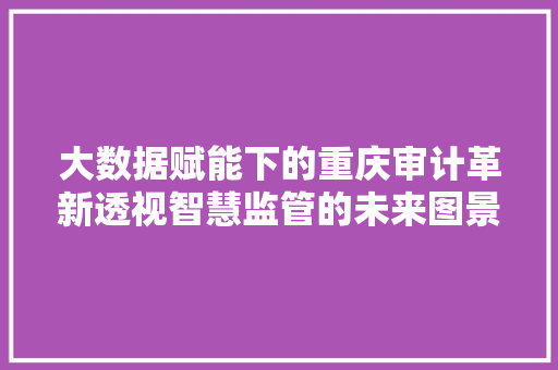 大数据赋能下的重庆审计革新透视智慧监管的未来图景