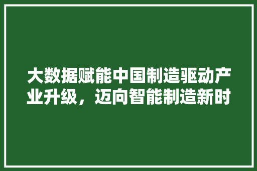 大数据赋能中国制造驱动产业升级，迈向智能制造新时代