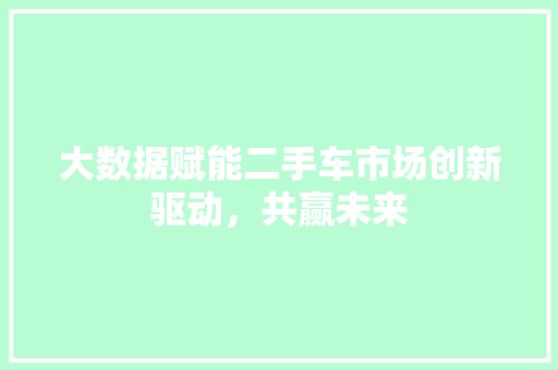 大数据赋能二手车市场创新驱动，共赢未来