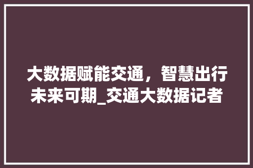 大数据赋能交通，智慧出行未来可期_交通大数据记者详细