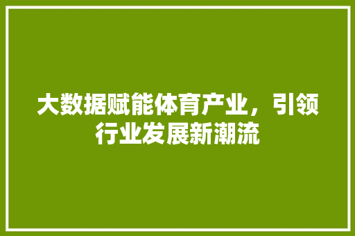 大数据赋能体育产业，引领行业发展新潮流