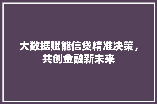 大数据赋能信贷精准决策，共创金融新未来