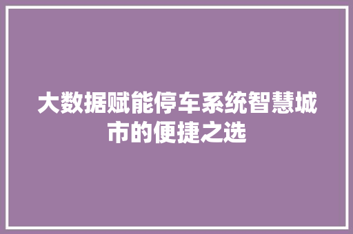 大数据赋能停车系统智慧城市的便捷之选
