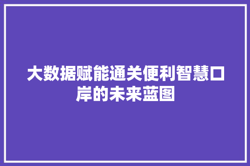 大数据赋能通关便利智慧口岸的未来蓝图
