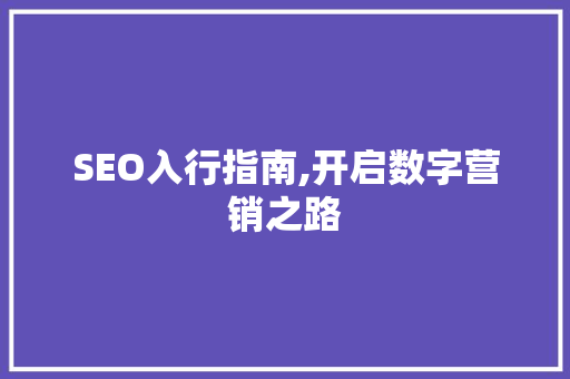 SEO入行指南,开启数字营销之路 网站建设