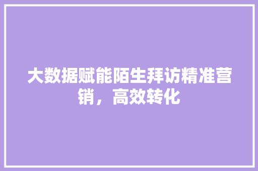 大数据赋能陌生拜访精准营销，高效转化