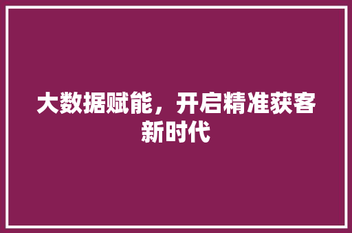 大数据赋能，开启精准获客新时代