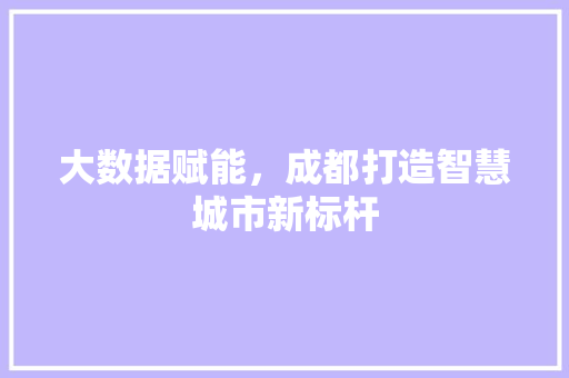 大数据赋能，成都打造智慧城市新标杆