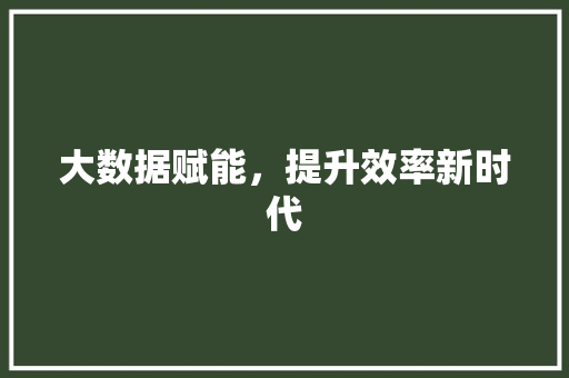 大数据赋能，提升效率新时代