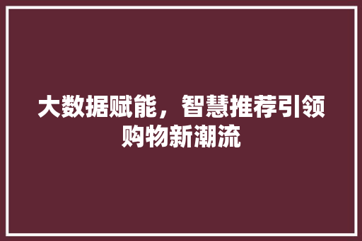 大数据赋能，智慧推荐引领购物新潮流