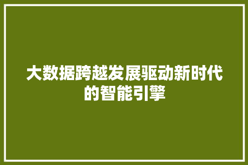 大数据跨越发展驱动新时代的智能引擎