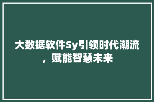 大数据软件Sy引领时代潮流，赋能智慧未来