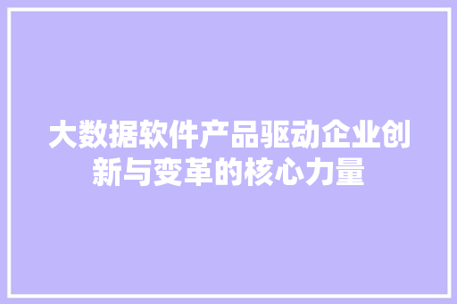 大数据软件产品驱动企业创新与变革的核心力量
