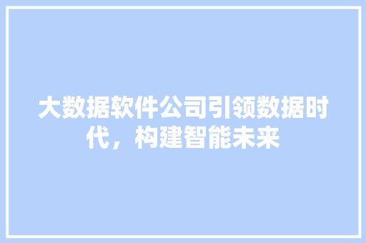 大数据软件公司引领数据时代，构建智能未来