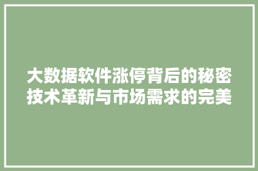 大数据软件涨停背后的秘密技术革新与市场需求的完美契合