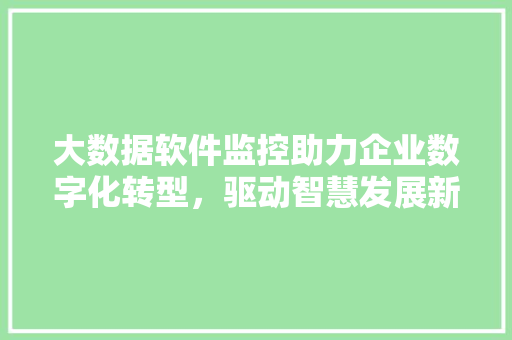 大数据软件监控助力企业数字化转型，驱动智慧发展新篇章