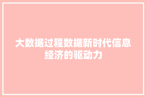 大数据过程数据新时代信息经济的驱动力