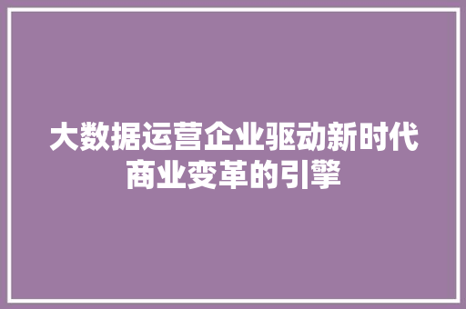 大数据运营企业驱动新时代商业变革的引擎