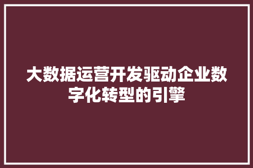 大数据运营开发驱动企业数字化转型的引擎