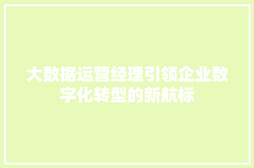 大数据运营经理引领企业数字化转型的新航标