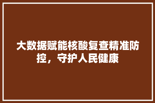 大数据赋能核酸复查精准防控，守护人民健康