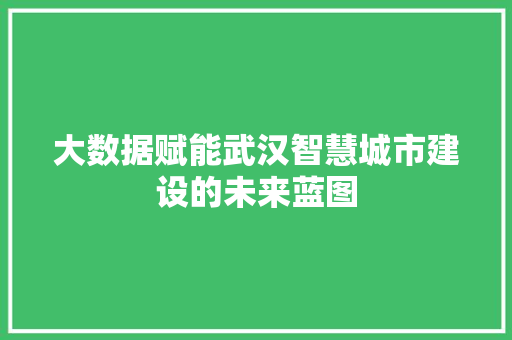大数据赋能武汉智慧城市建设的未来蓝图